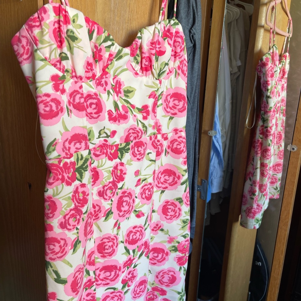 Zara Lined Pink Ivory Rose Floral Mini Dress